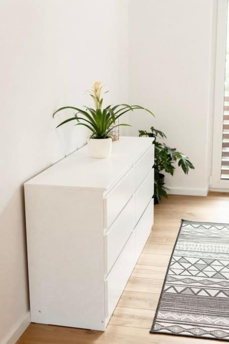 Zirovnica Aura Apartments מראה חיצוני תמונה