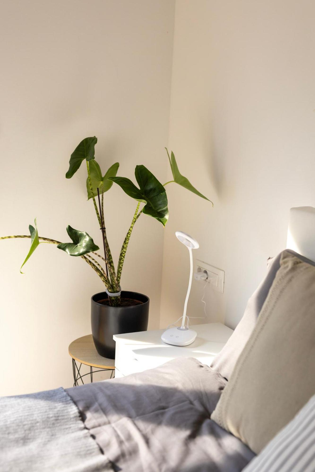 Zirovnica Aura Apartments מראה חיצוני תמונה